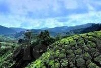 精品人妻一区二区三区麻豆91-为了帮助大家更积极地了解和应对现实中的问题，这里分享几个有趣、健康的话题