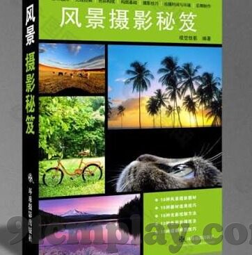 最近更新中文字幕第一-探索最近更新中文字幕第一的魅力与影响